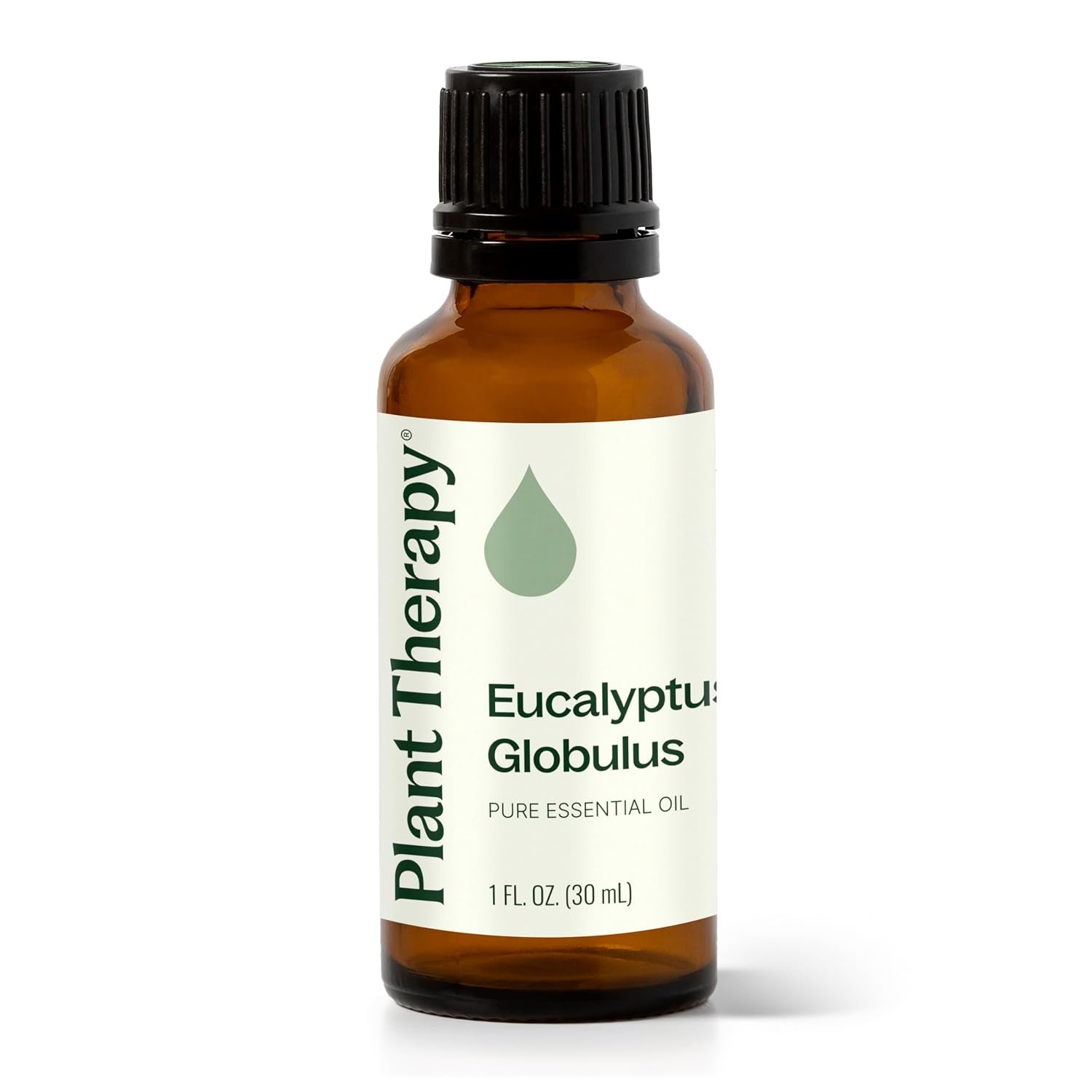 Plant Therapy Eucalyptus Globulus Essential Oil 30 mL Pure Essential Oil | for Diffuser, Skin, Hair, Aromatherapy DIYs, and Clear Breathing, Pure and Undiluted Essential Oil, 30 mL (1 oz)