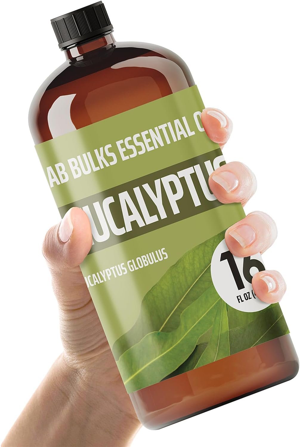 Eucalyptus 16 oz Bottle | Premium Essential Oils for Diffusers, Aromatherapy, Candle & Soap Making, & Home Scent Fragrance