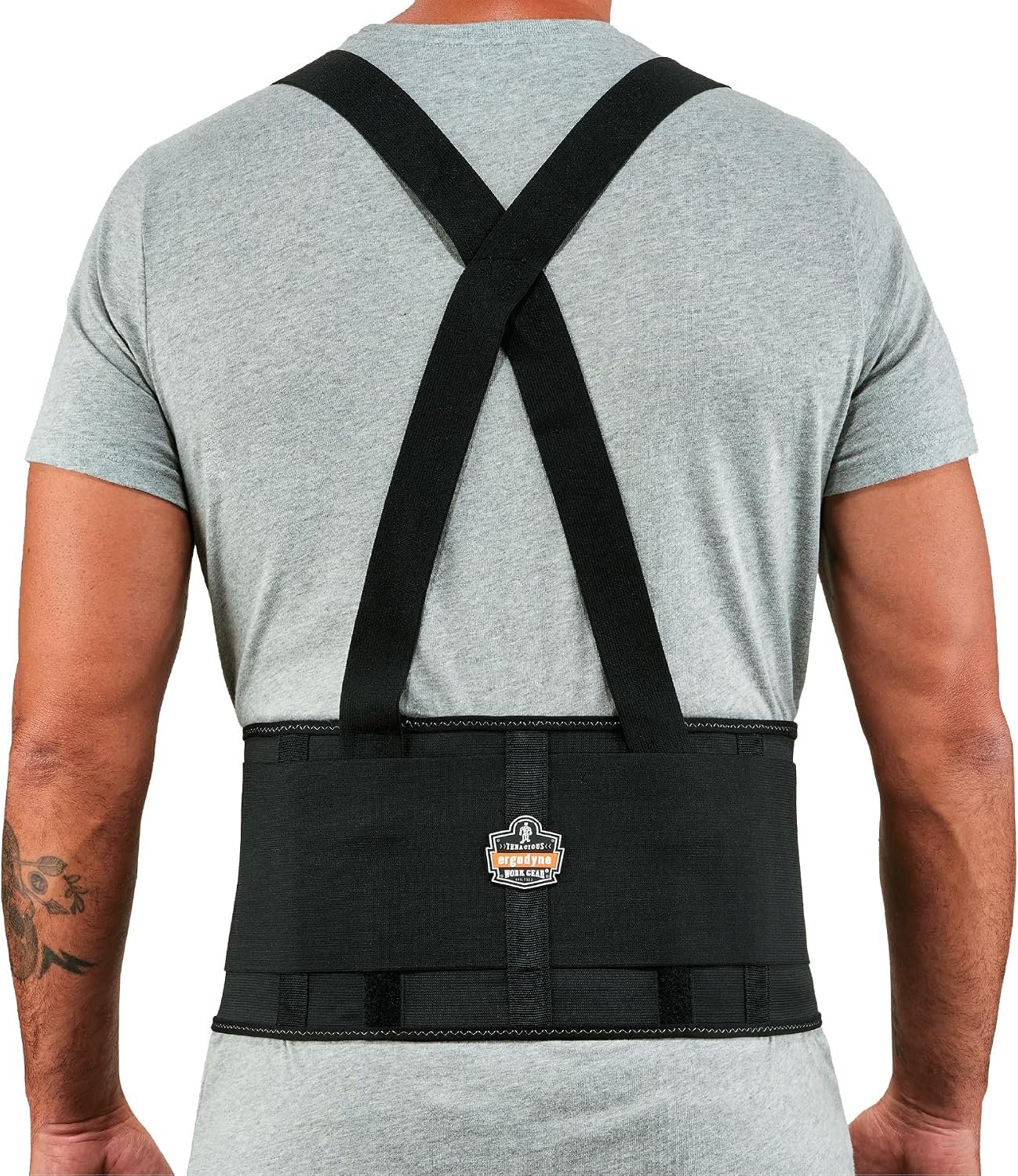 Ergodyne ProFlex 1650 Back Support Belt, 7.5″ Elastic, Adjustable, Removeable Straps, Large